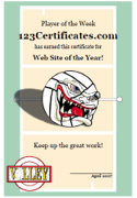 volleyball award certificate template