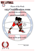USA volleyball award certificate printable