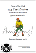 softball certificate